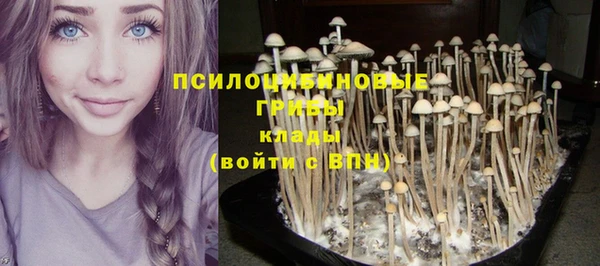 прущие крисы Алзамай
