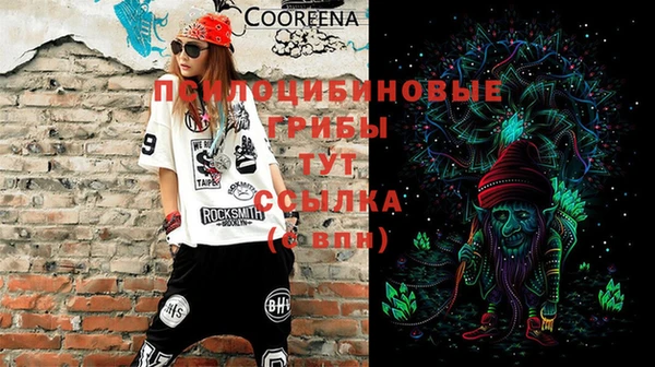 дурь Алексеевка